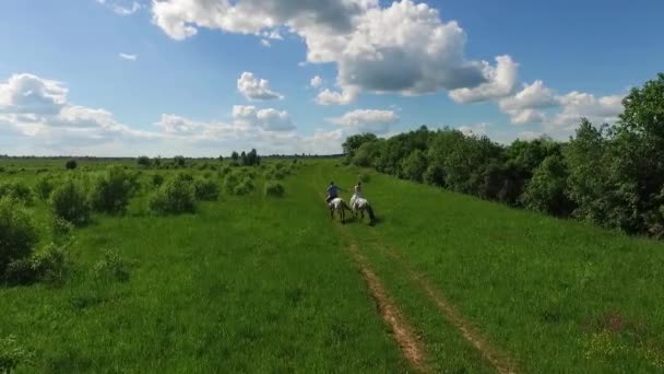 Jeune couple passant du temps ensemble à cheval, aérien 