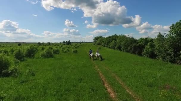 Jeune couple passant du temps ensemble à cheval, aérien — Video