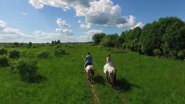 Jovem casal passar o tempo juntos montando cavalos, aéreo — Vídeo de Stock