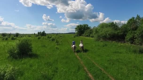 Jovem casal montando um cavalo marrom no campo no verão, aéreo — Vídeo de Stock