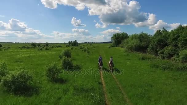 夏には、空中で田舎で茶色の馬に乗って若いカップル — ストック動画