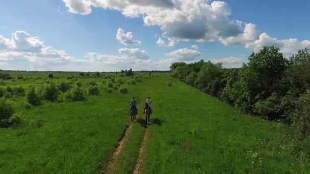 Jovem casal montando um cavalo marrom no campo no verão, aéreo — Vídeo de Stock