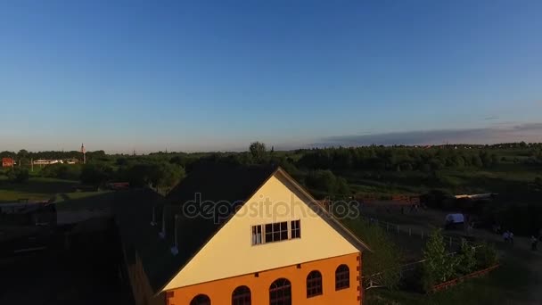 Üstten Görünüm hava drone güneşli yaz günü bir çayır — Stok video