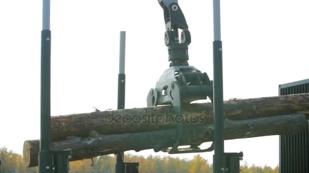Una máquina forestal carga un camión de troncos en el rellano del sitio. Bosque máquina abajo troncos — Vídeo de stock
