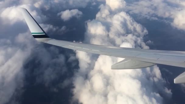 Πτέρυγα του ενός αεροπλάνου που πετούν πάνω από τα σύννεφα. Άνθρωποι ματιά στον ουρανό από το παράθυρο του αεροπλάνου, χρησιμοποιώντας αεροπορικών μεταφορών να ταξιδέψουν — Αρχείο Βίντεο