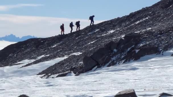 组的山背包徒步旅行者在雪上行走。爬到山顶。在山里行走 — 图库视频影像