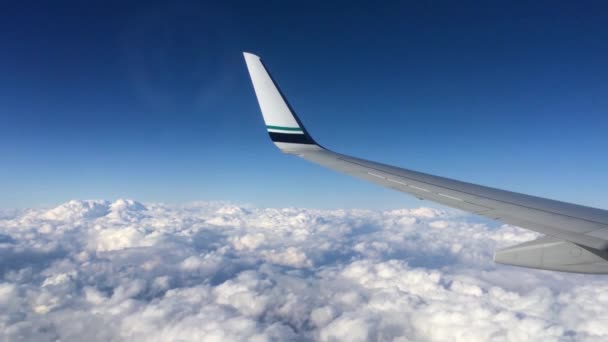 Vliegtuigvleugel in de lucht. Vleugel van een vliegtuig dat boven de wolken vliegt — Stockvideo
