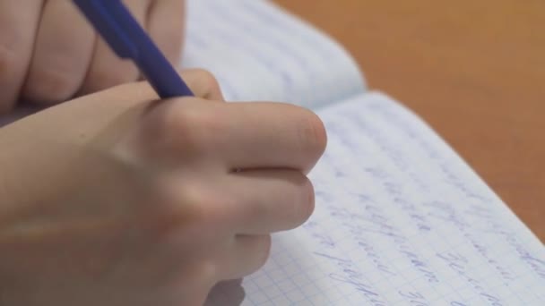 Weibliche Hände mit Stift schreiben auf Notizbuch. Nahaufnahme von Frauenhänden, die in einem Spiralblock schreiben, der auf einem hölzernen Schreibtisch mit verschiedenen Gegenständen platziert ist — Stockvideo