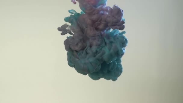 Tinta arremolinada en agua. Onda y humo de diferentes colores sobre fondo blanco. Humo azul y rojo abstracto sobre fondo blanco — Vídeo de stock