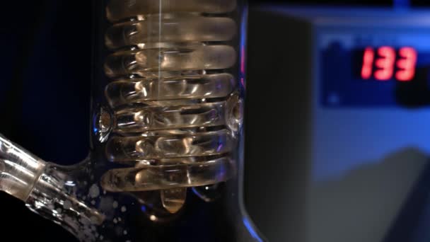 Crystal Spiral. Spiral glasrör med vatten på nära håll. Glas spiralrör från återloppskylaren med rinnande vatten. flytande filtrering i laboratoriet experimentet — Stockvideo