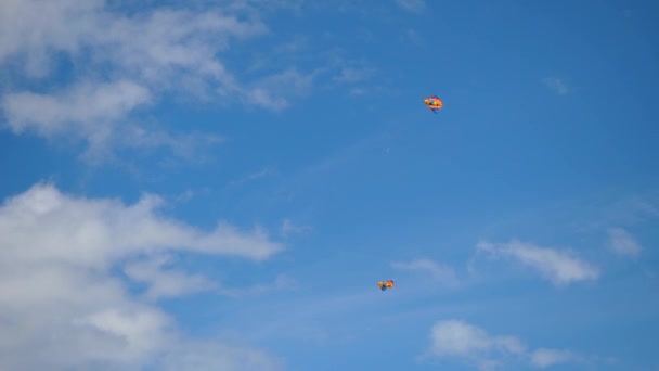 Des cerfs-volants dans le ciel. Cerfs-volants colorés volant dans le ciel bleu. Sous le ciel bleu cerfs-volants volants — Video