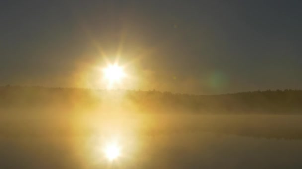 Summer sunset on forest lake. View on Lake with bright Sun over distant cape and evening glow reflecting in calm water at midnight sun. Fog on the river in the moonlit night — Stock Video