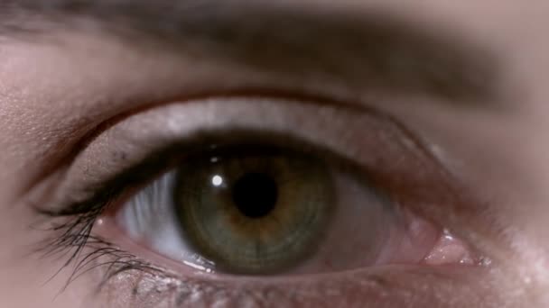 Κοντινό πλάνο του μια όμορφη νεαρή γυναικεία πράσινο μάτι. Μακροεντολή πυροβολισμό του γυναικείου όμορφη ματιών με εξαιρετικά μακριές βλεφαρίδες. Δείτε σέξι, αισθησιακό βλέμμα. Θηλυκή μάτι με μακριές βλεφαρίδες — Αρχείο Βίντεο