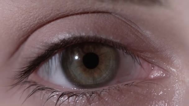 Hermosa mirada perspicaz ojo de mujer verde claro. Primer plano del ojo verde claro de las mujeres con pupila de corazón — Vídeos de Stock