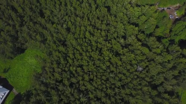 森林の眺め.上からグリーン パーク ビュー。航空写真ビュー — ストック動画