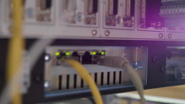 Netzwerkpanel, Switch und Kabel im Rechenzentrum — Stockvideo