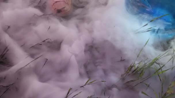 Stäng upp rök äng gräset. Röker på gräset — Stockvideo