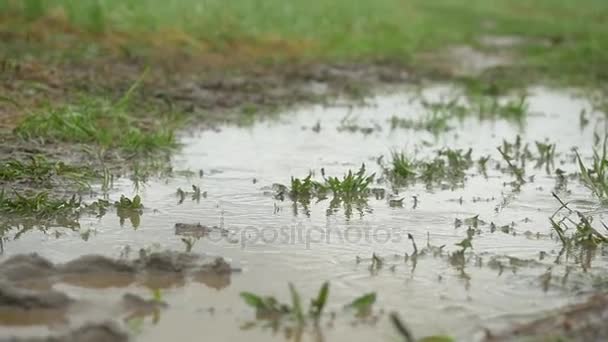 Person mit rosa Stiefeln und blauem Regenschirm, die in der Pfütze plantscht. Mädchen in Regenmantel und Gummistiefeln springen in eine Pfütze. Gummistiefel kommen in eine Pfütze — Stockvideo