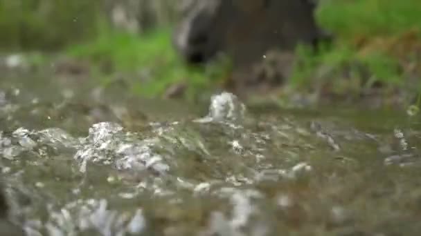 Fließend Wasser Textur hautnah draußen in den späten Nachmittag Frühlingslicht kräuselt und Wellen schön. Textur Bachlauf. Quelle Fluss Nahaufnahme Hintergrund — Stockvideo