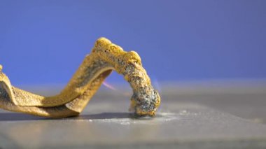 Firavunlar yılan. Kimyasal reaksiyon ateşle. Güzel ve korkunç bir tepki. Thiocyanate civa