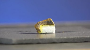 Firavunlar yılan. Kimyasal reaksiyon ateşle. Güzel ve korkunç bir tepki. Thiocyanate civa