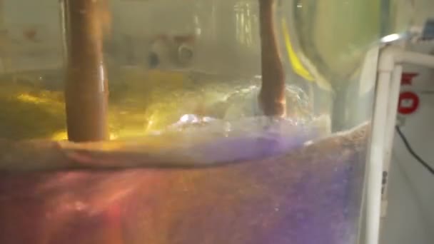 Científico trabajando con la reacción química en el laboratorio de química. Reacción química en frasco de vidrio. Trabajador de laboratorio haciendo experimento químico en laboratorio — Vídeos de Stock