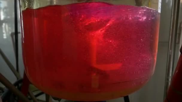 Primer plano del matraz colorido en el que el líquido se mezcla con un dispositivo especial — Vídeo de stock