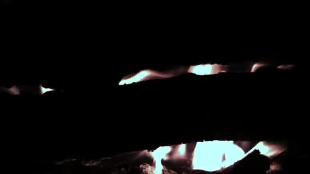 Płonących polan z bliska. Spalanie drewna. Płonący dziennika i czerwony płomień. Zbliżenie na ognisku spalania — Wideo stockowe