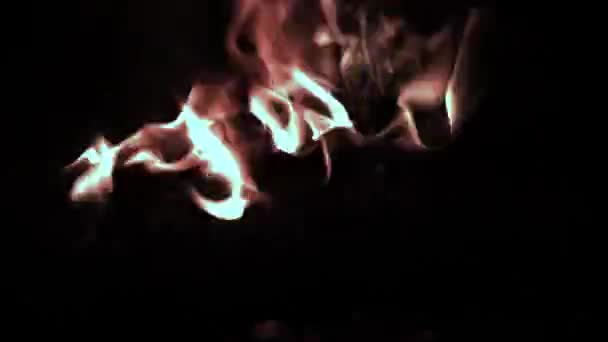 Les billes brûlent de près. Brûler des bois. Grumes brûlantes et flamme rouge. Gros plan sur le feu de camp — Video