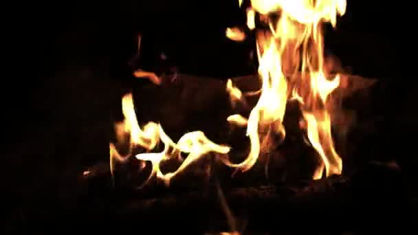 Quemando leña en el fuego. Fuego de campamento en la noche. Llamas de fuego. Fuego forestal de cerca — Vídeos de Stock