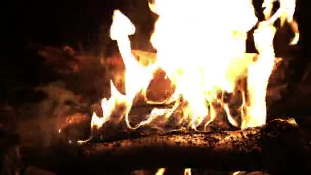 Quemando leña en el fuego. Fuego de campamento en la noche. Llamas de fuego. Fuego forestal de cerca — Vídeos de Stock