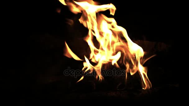 Logboeken branden close-up. Meld u aan brand met vlammen in geel. Close-up van Logboeken op het vuur — Stockvideo