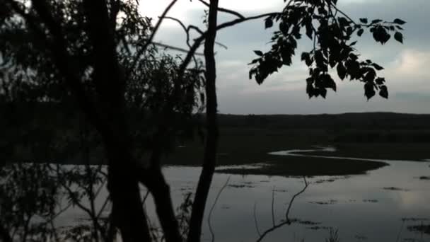 Silhueta de árvore com vista para o lago — Vídeo de Stock