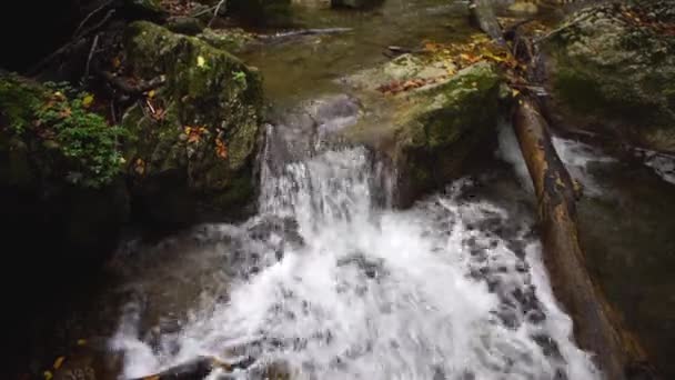 Vízesés az erdőben. Gyönyörű kilátás nyílik a vízesés az erdőben — Stock videók