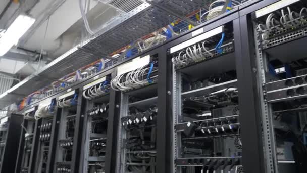 Fila de mineros bitcoin instalados en los estantes cableados. Computadora para minería Bitcoin. cables enchufables a la placa base para la máquina minera. Computadora criptomoneda con muchas ranuras periféricas — Vídeos de Stock