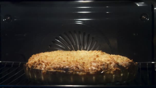 Яблочный пирог в духовке. Временной промежуток. Крупный план домашнего пирога, запеченного в духовке на кухне — стоковое видео