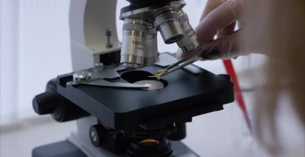 Ciddi klinisyen laboratuvar kimyasal element okuyor. Mikroskobik lens yakın çekim. Mikro analizde için hazırlanan mikroskop slayt örneğinde — Stok video