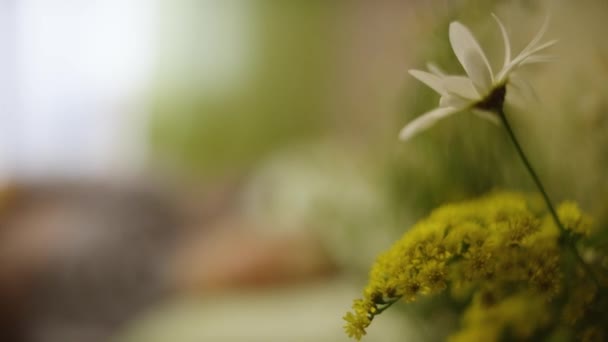 Schöne Blumen auf dem Tisch. Ehemann ließ seiner Frau Blumen, während er schlief — Stockvideo