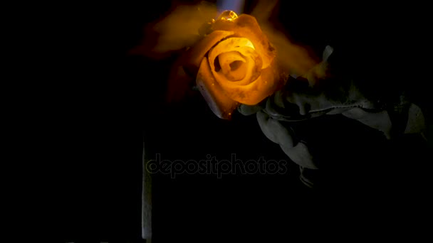 Kowal wyrównuje liści róży żelaza i sprawia, że ostateczny kształt kwiat. Kowal sprawia, że żelazo jest róża — Wideo stockowe