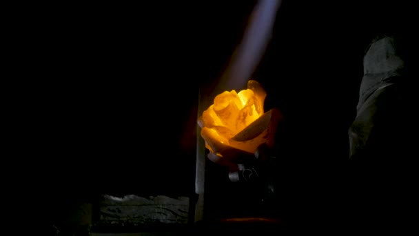 Kovács igazítja a levelek vas Rózsa, és teszi a végső formája a virág. Kovács teszi vas Rózsa — Stock videók