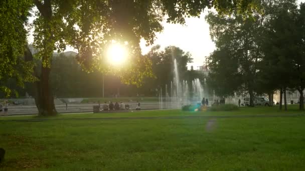 Parque verde en la hora de verano en la hora del atardecer — Vídeos de Stock