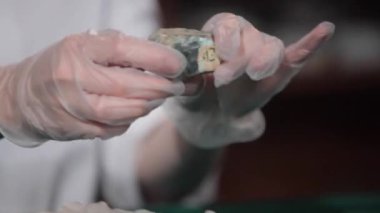 Laboratuvar içinde bilim adamı konsantre üzerinde kadın taş yakın çekim. Eller genç kız bilimsel deney yapıyor