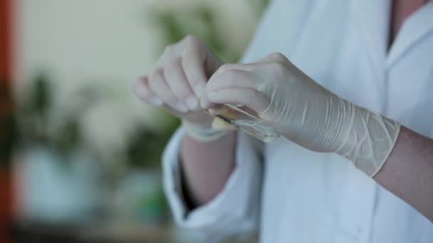 Persoon die het dragen van handschoenen voor het testen van de Ph van een chemische stof in een reageerbuis — Stockvideo