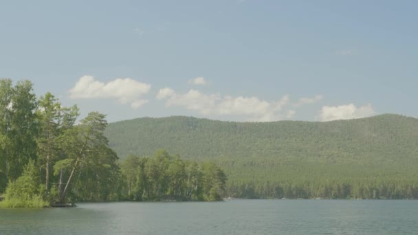 Blue water in a forest lake with pine trees. Beautiful lake and green forest — Stock Video