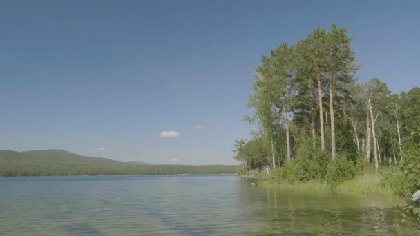 Blått vatten i en skogssjö med tallar. Vackra sjön och grön skog — Stockvideo