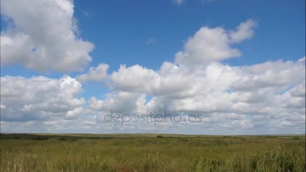 Paysage estival avec champ d'herbe, ciel bleu timelapse. Paysage de champ d'herbe verte avec des nuages fantastiques en arrière-plan. Beau paysage estival. Temps écoulé — Video