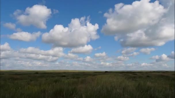 草、青い空タイムラプスのフィールドと夏の風景です。背景には幻想的な雲と緑草フィールド風景。素晴らしい夏の風景です。タイムラプス — ストック動画
