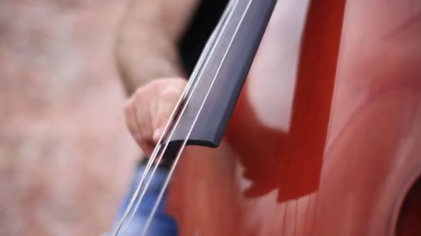 O homem toca violoncelo com os dedos fechados. Filmagem. Homem toca violoncelo à beira-mar — Vídeo de Stock