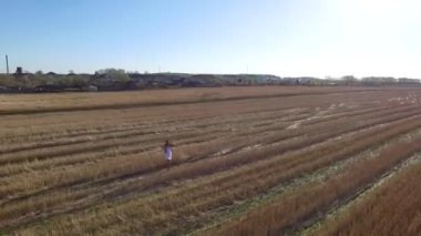 kadın mavi gökyüzü altındaki buğday alanında. Görüntüleri. altın buğday alanında genç güzel kadın. Kadın altın buğday