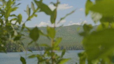 Göl ormanın içinde. Ön planda bir ağaç dalı vardır. Ağaç dalı ön plan göle